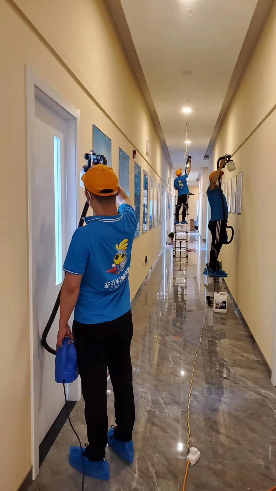 學校除甲醛 學校除甲醛